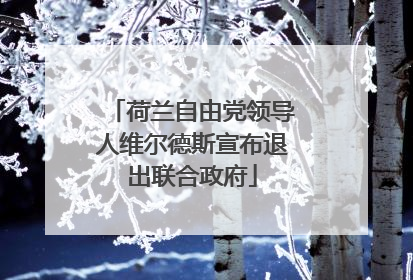 荷兰自由党领导人维尔德斯宣布退出联合政府