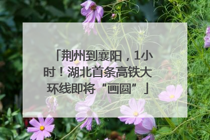 荆州到襄阳，1小时！湖北首条高铁大环线即将“画圆”