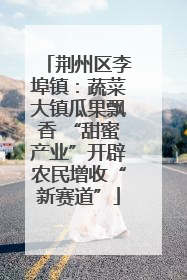 荆州区李埠镇：蔬菜大镇瓜果飘香 “甜蜜产业”开辟农民增收“新赛道”