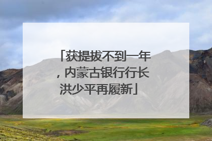 获提拔不到一年，内蒙古银行行长洪少平再履新