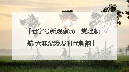 老字号新观察①｜党建领航 六味斋焕发时代新韵