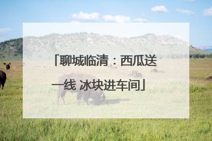 聊城临清：西瓜送一线 冰块进车间
