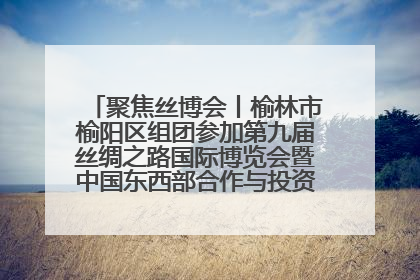 聚焦丝博会丨榆林市榆阳区组团参加第九届丝绸之路国际博览会暨中国东西部合作与投资贸易洽谈会