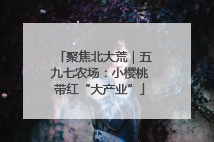聚焦北大荒｜五九七农场：小樱桃带红“大产业”