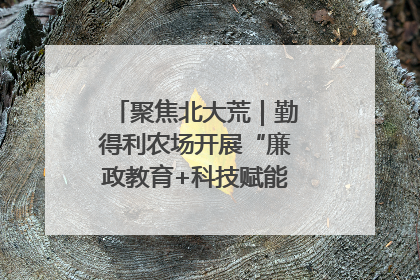 聚焦北大荒｜勤得利农场开展“廉政教育+科技赋能”主题党日活动