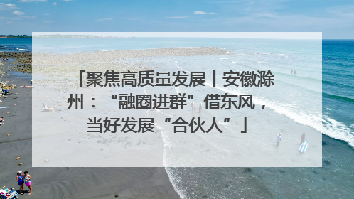 聚焦高质量发展丨安徽滁州：“融圈进群”借东风，当好发展“合伙人”
