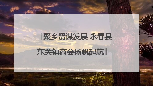 聚乡贤谋发展 永春县东关镇商会扬帆起航
