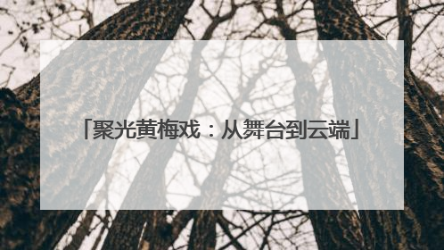 聚光黄梅戏：从舞台到云端