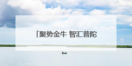 聚势金牛 智汇普陀〡“始发站”发力、“创新田”深耕，普陀科创“金牛”闪耀