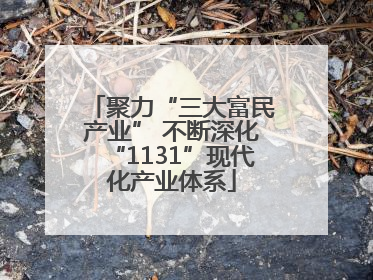 聚力“三大富民产业” 不断深化“1131”现代化产业体系