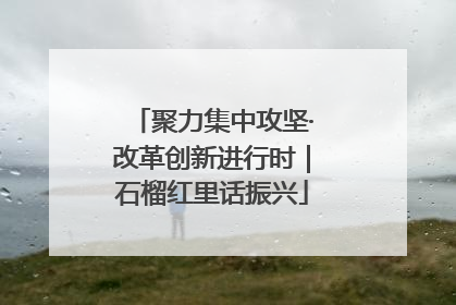 聚力集中攻坚·改革创新进行时｜石榴红里话振兴