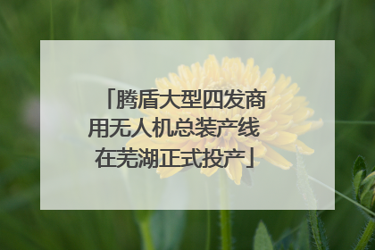 腾盾大型四发商用无人机总装产线在芜湖正式投产