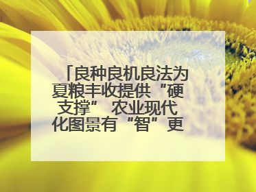 良种良机良法为夏粮丰收提供“硬支撑” 农业现代化图景有“智”更有“质”