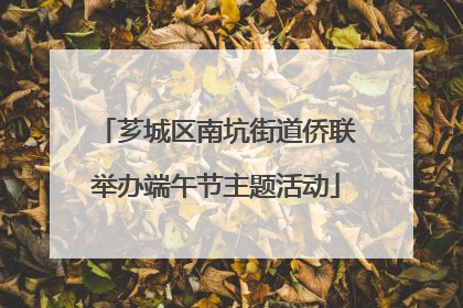 芗城区南坑街道侨联举办端午节主题活动