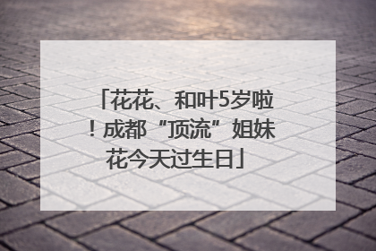 花花、和叶5岁啦！成都“顶流”姐妹花今天过生日