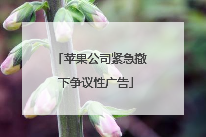 苹果公司紧急撤下争议性广告