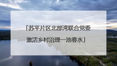 苏平片区北部湾联合党委 激活乡村治理一池春水