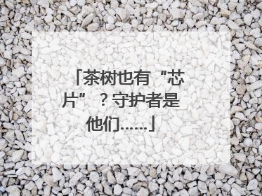 茶树也有“芯片”？守护者是他们……
