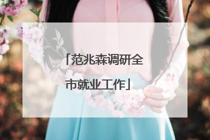 范兆森调研全市就业工作