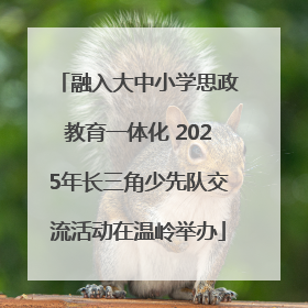 融入大中小学思政教育一体化 2025年长三角少先队交流活动在温岭举办