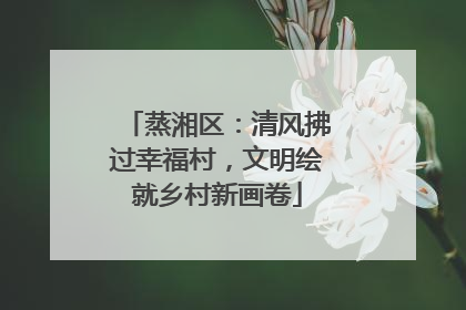 蒸湘区：清风拂过幸福村，文明绘就乡村新画卷