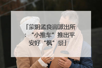 蒙阴孟良崮派出所：“小推车”推出平安好“枫”景