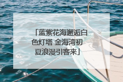 蓝紫花海邂逅白色灯塔 金海湾初夏浪漫引客来