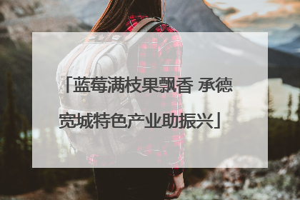 蓝莓满枝果飘香 承德宽城特色产业助振兴