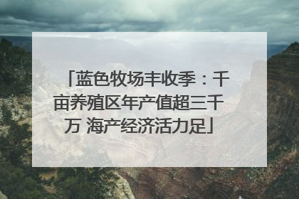 蓝色牧场丰收季：千亩养殖区年产值超三千万 海产经济活力足
