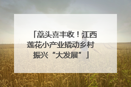 藠头喜丰收！江西莲花小产业撬动乡村振兴“大发展”
