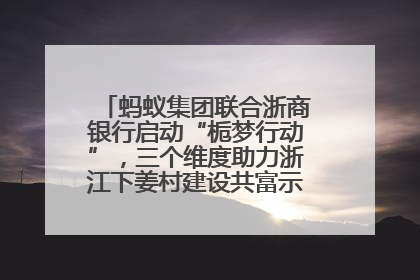 蚂蚁集团联合浙商银行启动“栀梦行动”，三个维度助力浙江下姜村建设共富示范区示范点