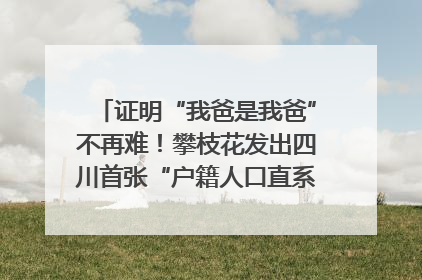 证明“我爸是我爸”不再难！攀枝花发出四川首张“户籍人口直系亲属关系谱”