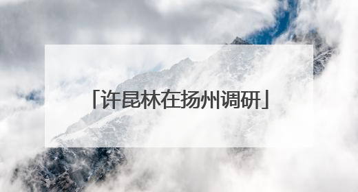 许昆林在扬州调研