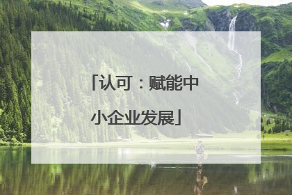 认可：赋能中小企业发展