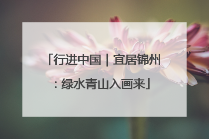 行进中国｜宜居锦州：绿水青山入画来