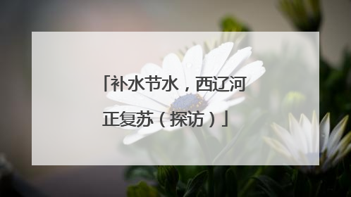 补水节水，西辽河正复苏（探访）