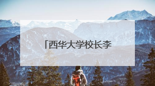 西华大学校长李秋实：乐山“智慧低空”大有可为｜西望四川