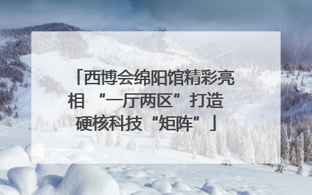 西博会绵阳馆精彩亮相 “一厅两区”打造硬核科技“矩阵”