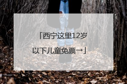 西宁这里12岁以下儿童免票→