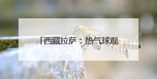 西藏拉萨：热气球观光 丰富文旅体验