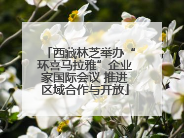 西藏林芝举办“环喜马拉雅”企业家国际会议 推进区域合作与开放