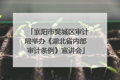 襄阳市樊城区审计局举办《湖北省内部审计条例》宣讲会