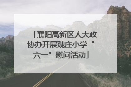 襄阳高新区人大政协办开展魏庄小学“六一”慰问活动
