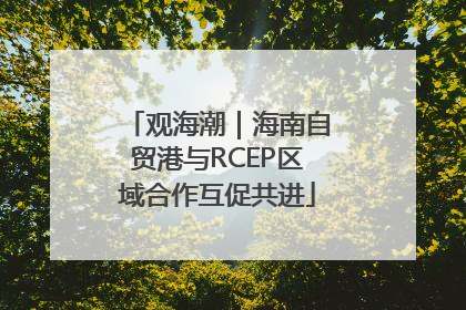 观海潮｜海南自贸港与RCEP区域合作互促共进