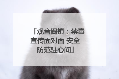 观音阁镇：禁毒宣传面对面 安全防范驻心间