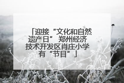 迎接“文化和自然遗产日” 郑州经济技术开发区肖庄小学有“节目”