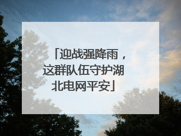 迎战强降雨，这群队伍守护湖北电网平安