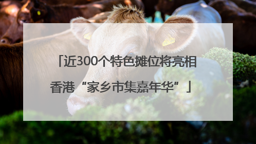 近300个特色摊位将亮相香港“家乡市集嘉年华”