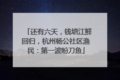 还有六天，钱塘江鲜回归，杭州杨公社区渔民：第一波盼刀鱼