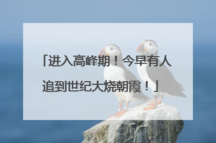 进入高峰期！今早有人追到世纪大烧朝霞！